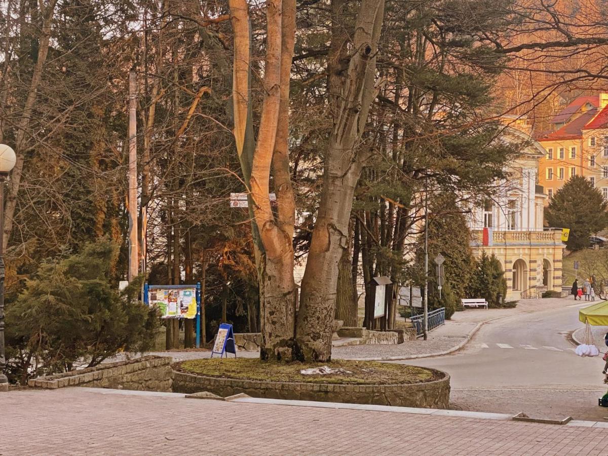 Apartament Zdroj Ladek Bagian luar foto
